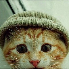 Дима Нечайкин