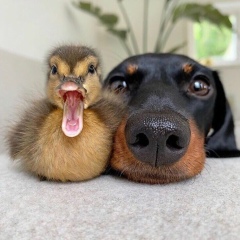 Полина Малина, 11.04, Москва