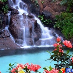 Ramin Ashraliyev, 09.01.2001, Баку