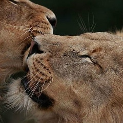 Маряна Книш, 20.08.1985, Львов