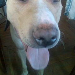 Андрей Мигаль, 14.04.1977, Санкт-Петербург