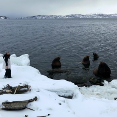 Ksenia Bulatova, Москва