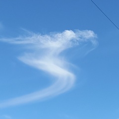 Иляна Сидорова, Тамбов