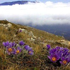 Алина Cамополенко, 19.10, Горишние Плавни / Комсомольск