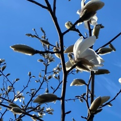 Полина Никулина, 08.03.1985