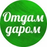 Отдам-Даром Владикавказ, 10.10.1980, Владикавказ