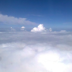 Батушев Алексей, Омск