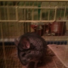 Сергей Смелов, 26.04.1999, Москва