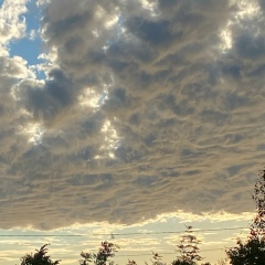 Vlad Bark, 3 отделение г/з 60 лет Октября