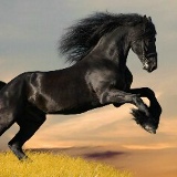 Akmaral Karmisova, 17.08.1972