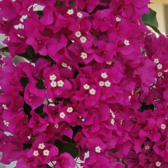 Валерія Колбаса, 14.08.1994, Подольск / Котовск