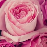 Виктория Чалова, Красноярск