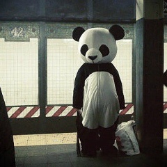 Евгений Сергеев, 25.05, Москва