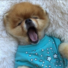 Женечек Видеман, 10.03.1986, Москва