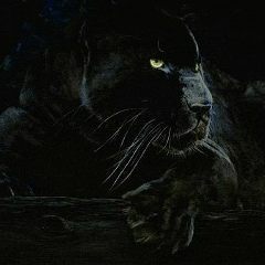 Екатерина Мосейчук, 24.01, Брест