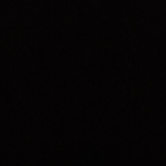 Юрец Левыкин, Санкт-Петербург