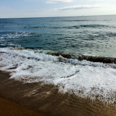 Даша Москалева, Москва