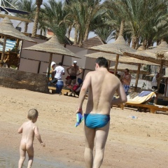 Андрей Павлов