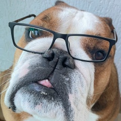 Кирилл Зоря, Ставрополь