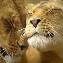 Альмира Марден, 12.12, Астана