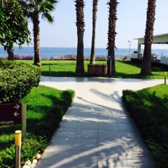 Ермек Тамаев, 17.02.1982, Алматы