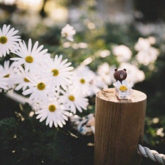 Асем Туребекова, 30.10, Астана