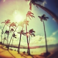 Никита Челнаков, 22.05.1986, Москва