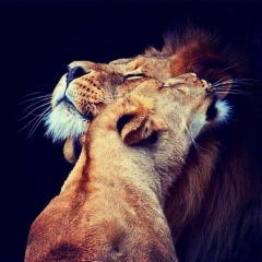 Арайлым Жангужинова, 18.04.1990, Астана