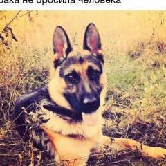 Андрей Аксёнов, 15.05, Павлодар