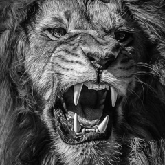 Nodari Batashvili, 28.01.1983, Тель-Авив