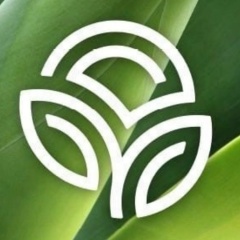 Роман Романов