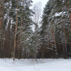 Татьяна Медяник, 11.04, Краснодар