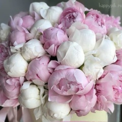 Алёна Алёна, 19.08