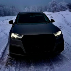 Дамир Жалимов, Саранск