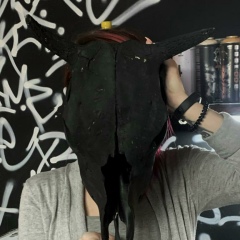 Алина Наумович, 05.07.1997, Алматы