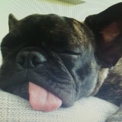 Ольга Донец, 14.08, Москва