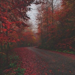 Газиза Кемергазина, 05.01, Алматы