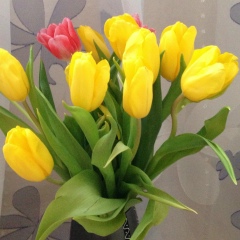 Евгения Семенова, 17.01, Санкт-Петербург