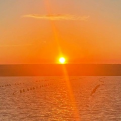 Елена Суслова, 05.07, Москва