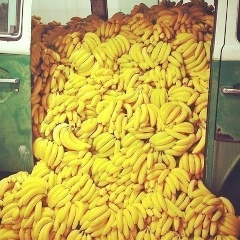 Вероника Неделькина, 02.05.1982, Москва