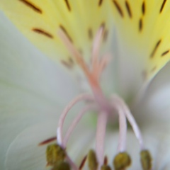 Катерина Солодка, 29.04