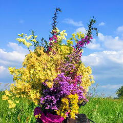 Виктория Зименс, Омск
