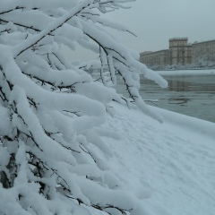 Дамир Бедретдинов, 21.12.1984, Москва
