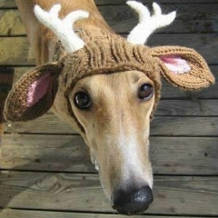 Наташа Смаженная, 01.01, Киев