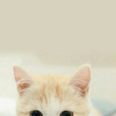 Асет Багитжан, 13.10, Атырау