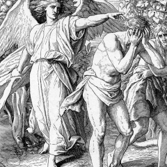 Роман Шехватов, 15.04.1989, Волгоград