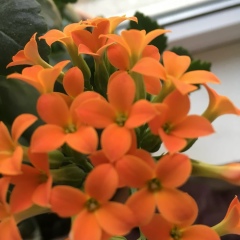 Рима Боранбаева, 26.04.1985, Алматы