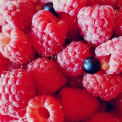 Алексей Рожков, 08.04, Санкт-Петербург