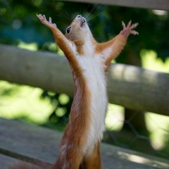 Константин Старков, 01.10, Москва