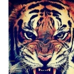 Сулейман Сулейманов, Ставрополь